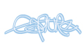 capture design